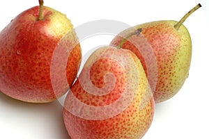 FORELLE pears on white