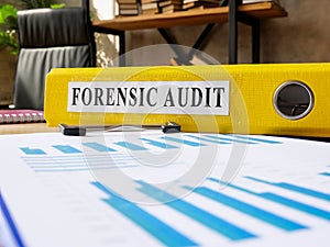 Forensic audit results in the folder and papers.