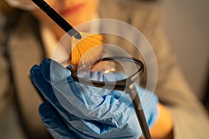 Forensic fingerprint analysis, criminalist woman collects latent fingerprints using powder on evidence glasses, copying