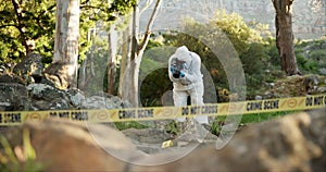 Forensic, photographer and evidence at crime scene for investigation in forest with police tape and safety hazmat..Csi