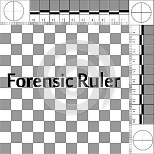 Forensic Ruler CSI photo