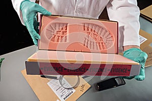 Forensic scientist investigates shoeprint mould evidence in crime lab