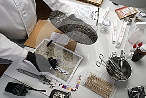 Forensic scientist investigates shoeprint mould evidence in crime lab photo