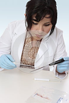 Forensic scientist obtaining sample