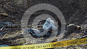 Forensic specialist working in the forest. Police criminalists collecting evidence and making criminal investigation