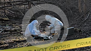 Forensic specialist working in the forest. Police criminalists collecting evidence and making criminal investigation