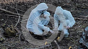 Forensic specialist working in the forest. Police criminalists collecting evidence and making criminal investigation