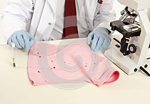 Forensic swabbing a stain photo