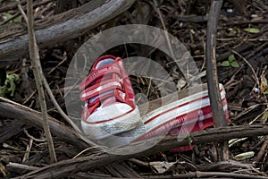 Forensics and investigation kid shoes in the forest photo