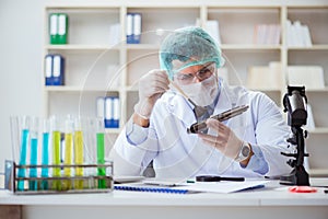 The forensics investigator working in lab on crime evidence