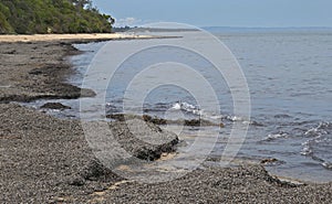 Foreshore at Somers Beach in south east Victoria,