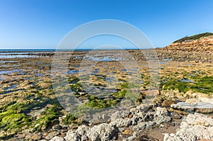 Foreshore in west French coast photo