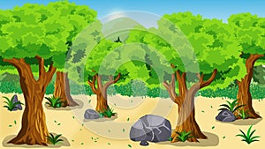 beautiful forest anime background