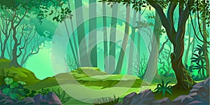 Sunrays falling deep into a thick jungle