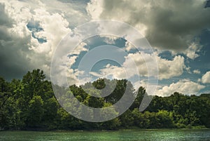 Forest above the river under the summer cloudy sky