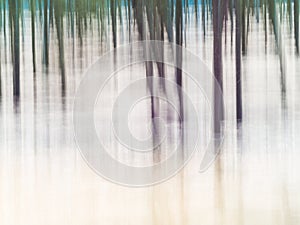 Forest - abstract impressionist blurry background