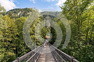 Forest adventure park in the Bavarian Allgaeu, aerial walk throught treetops