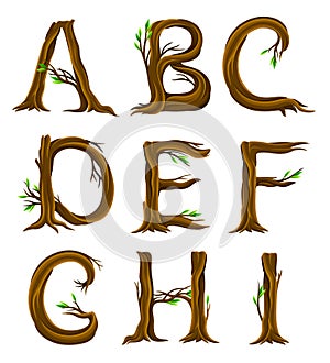 Forest Alphabet with Letters Arranged from Tree Trunks and Branches Vector Set