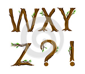 Forest Alphabet and Punctuation Marks from Tree Trunk and Branches with Capital Letter Symbols Vector Set