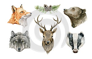 Forest animal portrait. Watercolor wildlife illustration. Fox, wolf, grizzly bear, badger, deer head element set. Hand