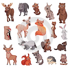 Forest Animals as Wild Fauna with Elk, Wolf, Bear, Fox and Raccoon big Vector Set