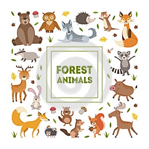 Forest Animals Banner Template with Cute Wild Animals of Square Shape, Greeting Card, Poster, Banner, Background Design