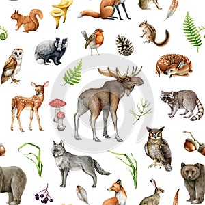 Forest animals, birds and natural element seamless pattern. Watercolor illustration. Wildlife collection. Hand painted
