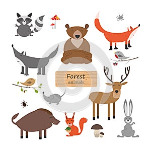 Forest animals in cartoon style on white background. Forest animals set. Wildlife collection