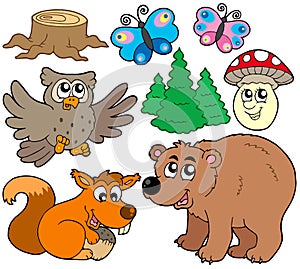 Forest animals collection 3
