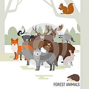 Forest animals composition.