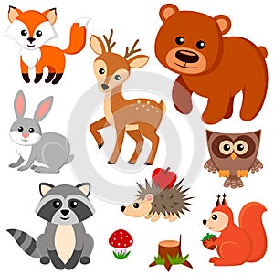Forest animals. Fox, bear, raccon, hare, deer, owl, hedgehog, squirrel, agaric and tree stump photo