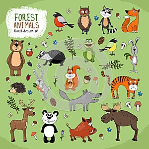 Bosque los animales ilustraciones 