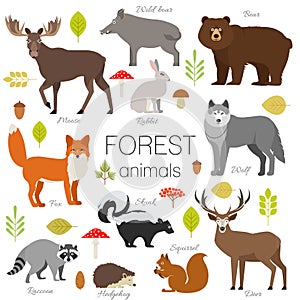 Forest animals isolated vector set.