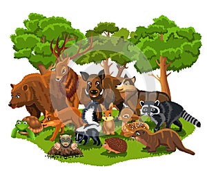 Forest animals like bear, wolf, fox, rabbit, squirrel, deer, skunk, boar