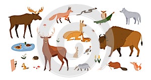 Forest animals set. Wild mammals of woodland. Fox, wolf, bison, elk, deer collection. Woods inhabitants, birds, beasts