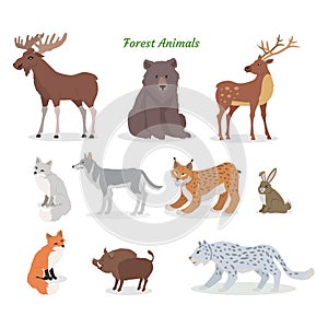 Forest Animals Set. Wildlife Characters. Vector