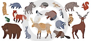 Forest animals. Wild mammals. Badger and fox. European brown bear. Woodland chipmunk and squirrel. Hare in wildlife wood