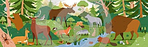 Forest animals in wild nature. Environment landscape with trees and habitats. Biodiversity of flora and fauna in