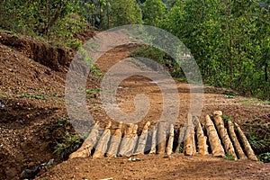 A forest area in Gikondo,Kigali photo