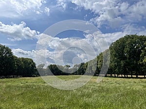 Forest around Diever in Drenthe photo