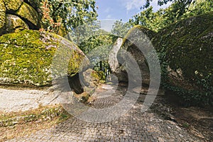 The forest around the shrine of Senhora da Penha