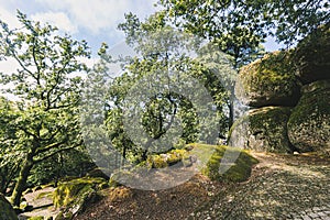 The forest around the shrine of Senhora da Penha