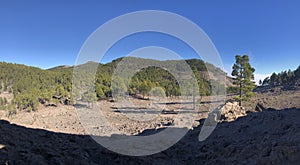 Forest around Ventana del Nublo in Gran Canaria photo