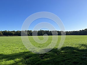 Forest around Vilsteren in Overijssel