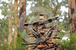 Forest art in Victoria, Australia