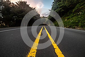 Forest asphalt road with double yellow lane