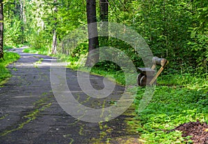 Forest asphalt track