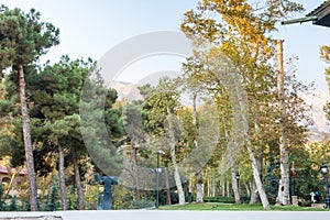 Forest in autumn with background of mountain in Sa`dabad palace Complex, built by the Qajar and Pahlavi monarchs, located in