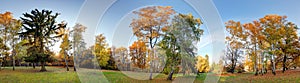 Forest autumn panorama in park