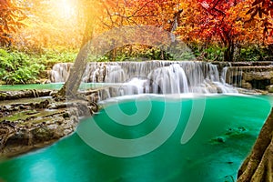 Forest in autumn with river and waterfalls.